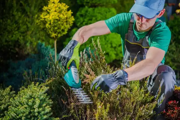 landscaping services Mitchell